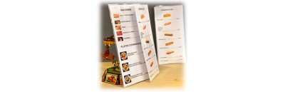 CARTAS PLASTIFICADAS